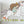 Fairy wall sticker with baby unicorn