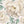 Wall sticker peony flowers