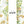 Watercolor Nursery Growth Chart - Fox