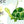 Cute jungle animals height chart