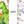 Dino T-Rex Growth Chart