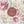 Wall sticker peony flowers