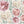 Wall sticker peony flowers