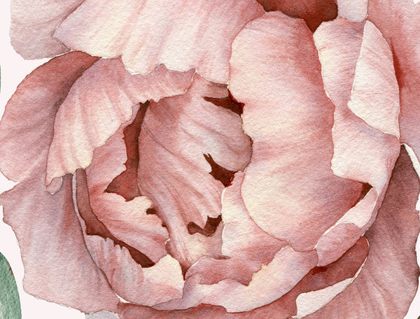 Wall sticker peony flowers