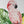 Jungle animals wall decals for nursery