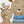 Wall decals with animals