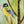 Forest animals wall sticker