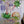 T-Rex dinosaur wall sticker for Children's Room
