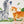 Jungle animals kids wall sticker