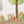 Wall decals with animals