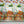 Cute jungle animals height chart
