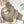 Sloth wall sticker decoration