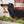 Load image into Gallery viewer, Dachshund dog wall sticker
