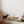 Dachshund dog wall sticker