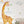 Giraffe wall decals