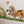 Dachshund dog wall sticker