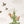 Forest Animal Wall Sticker for Nursery - Woodland Nursery Decor - Forest Animal Decal