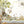 Woodland Animal Wall Decals - Decor Child's Room for Boy or Girl