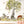 Woodland Nursery Wall Decal - Forest Animals Wall Sticker - Neutral Nursery - Kids Room Decor for Boys and Girls Playroom