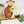 Safari Nursery Wall Stickers - Jungle Animal Decals for Nursery - XL 10 feet + or XXL 13 feet +